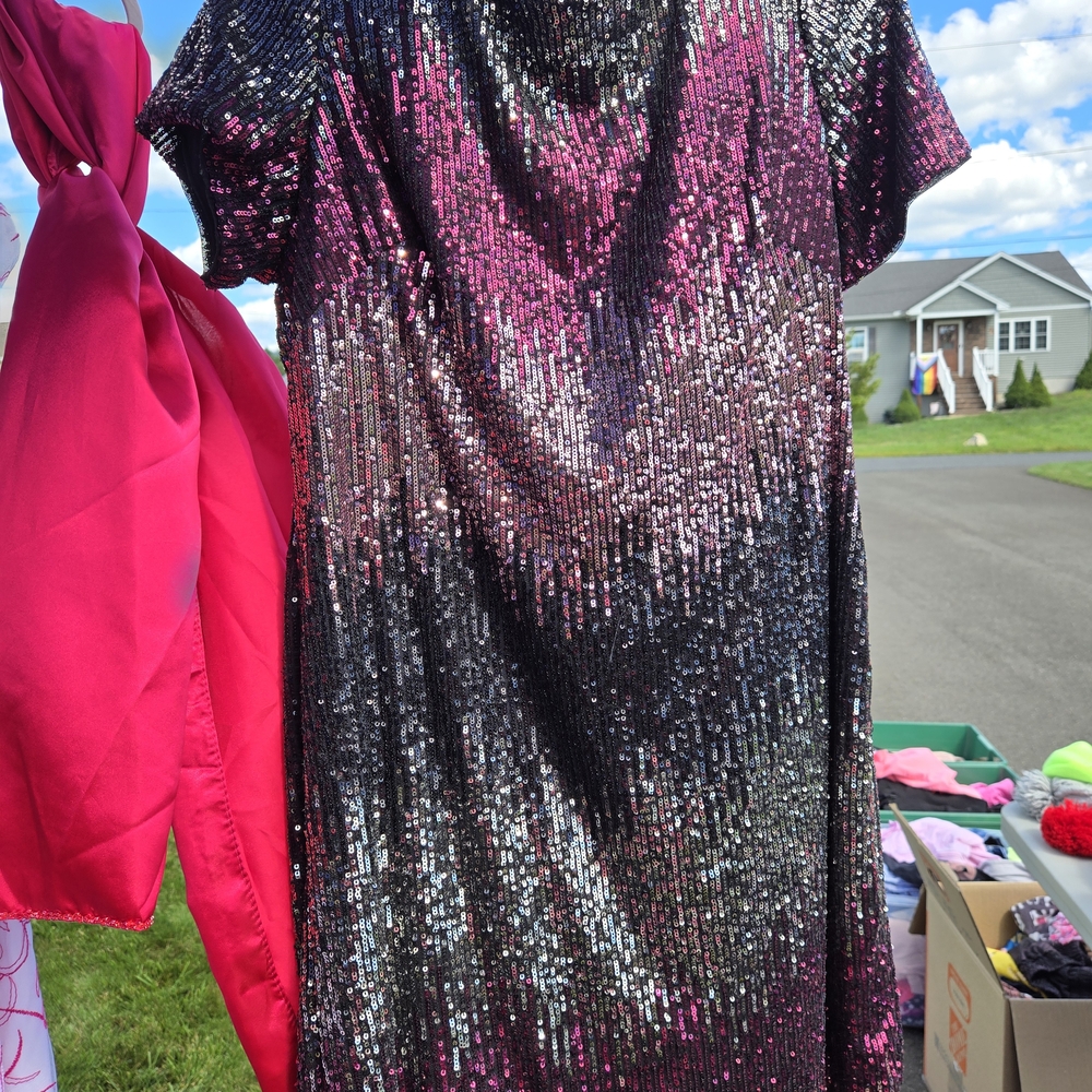 R & M Richards Pink and Black Sequin Mini Dress